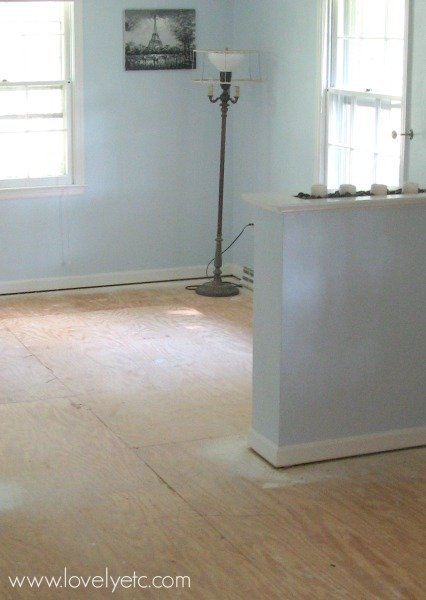 room with bare plywood subfloors