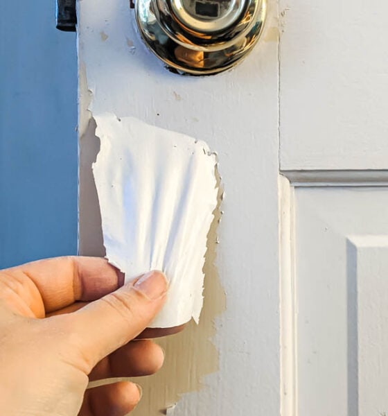 latex paint peeling off oil paint on door