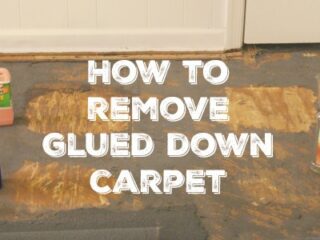 Spreading glue How to glue down carpet 