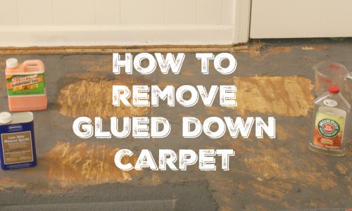 How to remove glueddown carpet Lovely Etc.