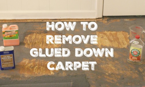 How To Remove Glued Down Carpet Lovely Etc