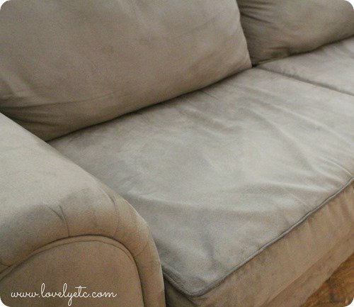 sofa after cleaning