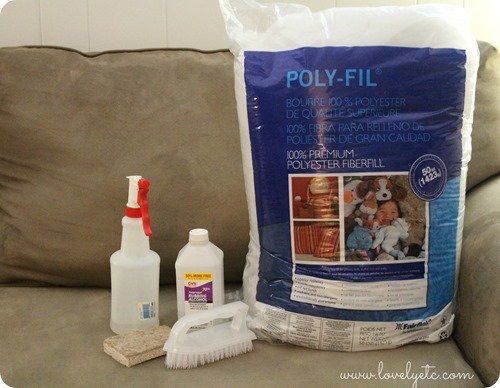 supplies for cleaning a dirty couch