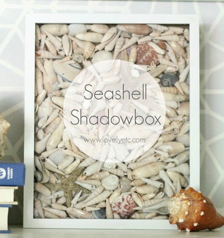 seashell shadowbox 3