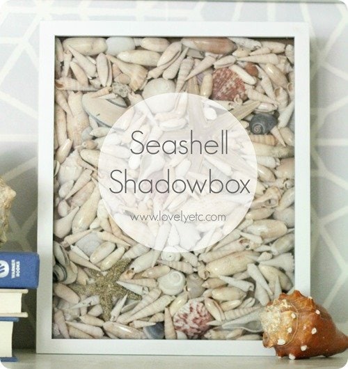 seashell shadowbox pin with text overlay