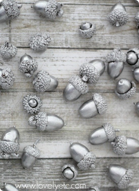 silver leaf acorns 4