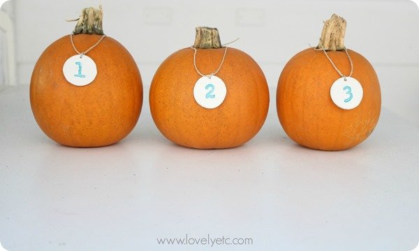 pumpkins with clay tags