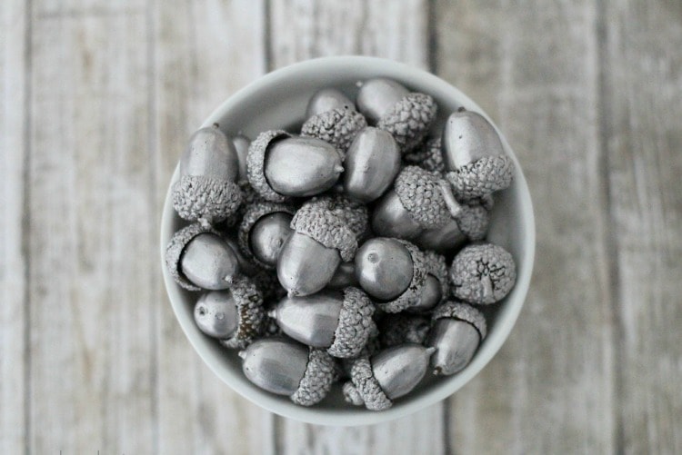 Silver Leaf Acorns