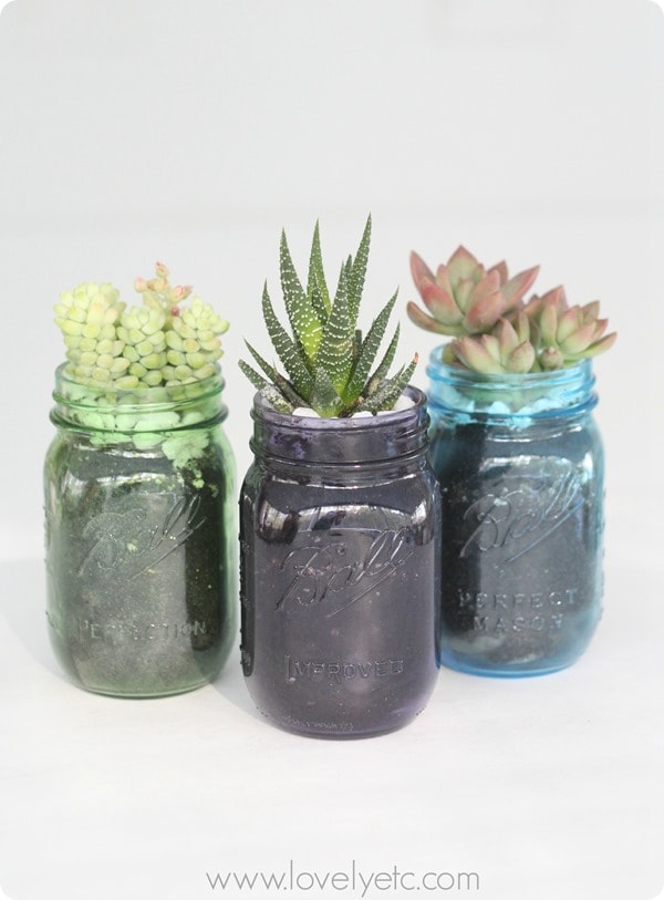 mason jar succulent trio 4