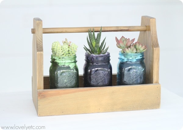 mason jar succulent trio