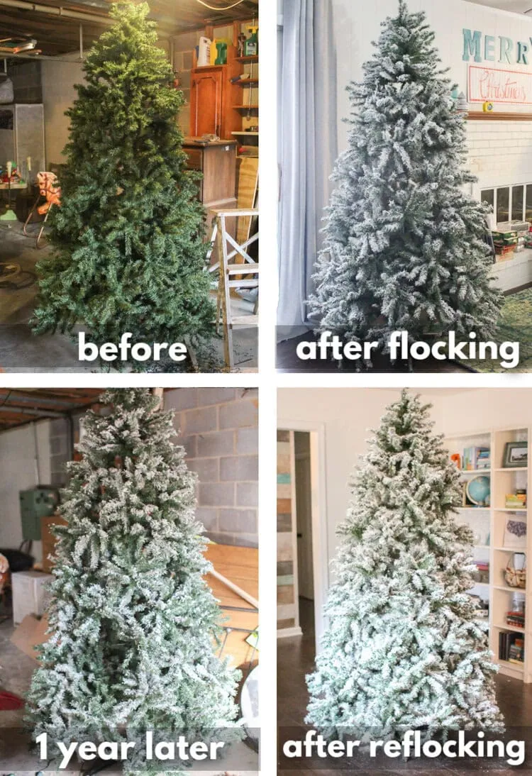 Christmas tree before flocking, after flocking, 1 year later, and after reflocking.
