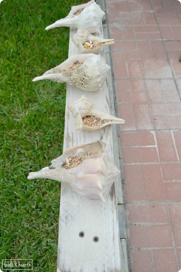 Shell bird feeder from Table and Hearth