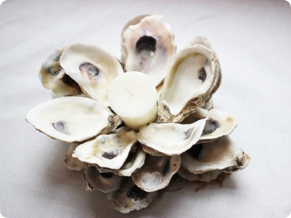 oyster shell candle holder simple nature decor