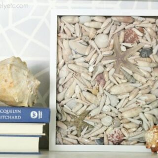 seashell shadowbox