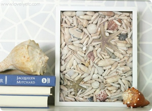 seashell shadowbox next to books