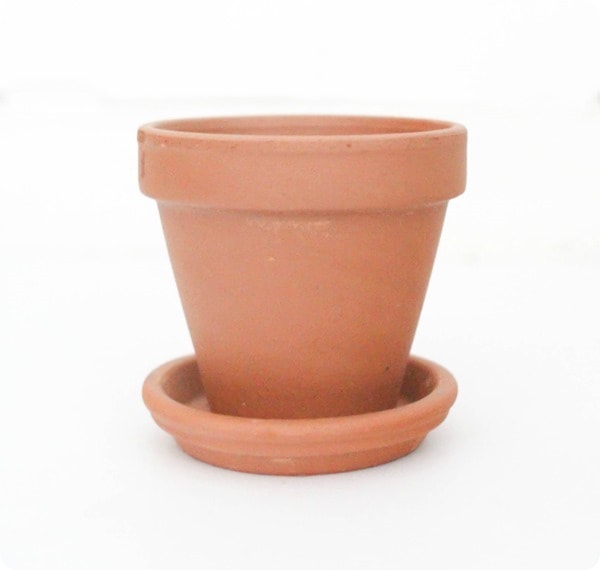 terra cotta pot