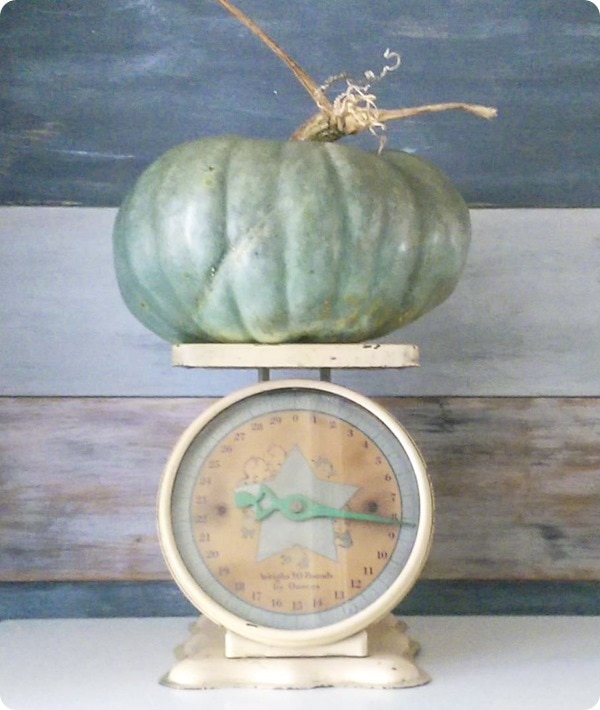 blue pumpkin on vintage scale