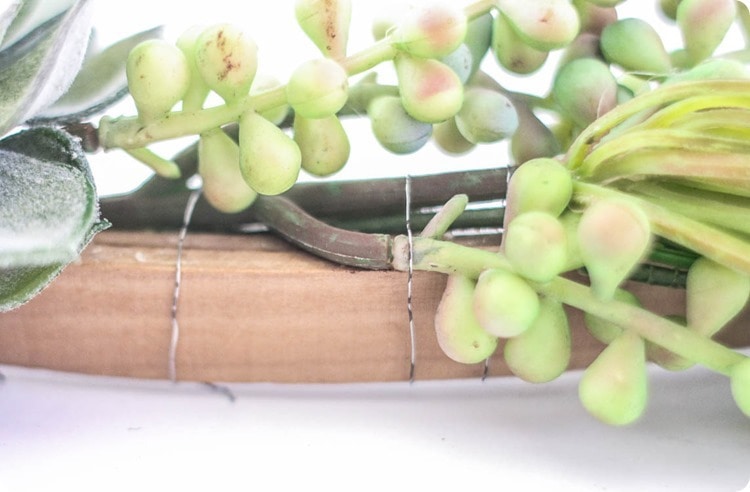 attach succulents to wreath with wire