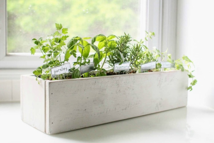 How to create a beautiful kitchen herb garden - Lovely Etc.