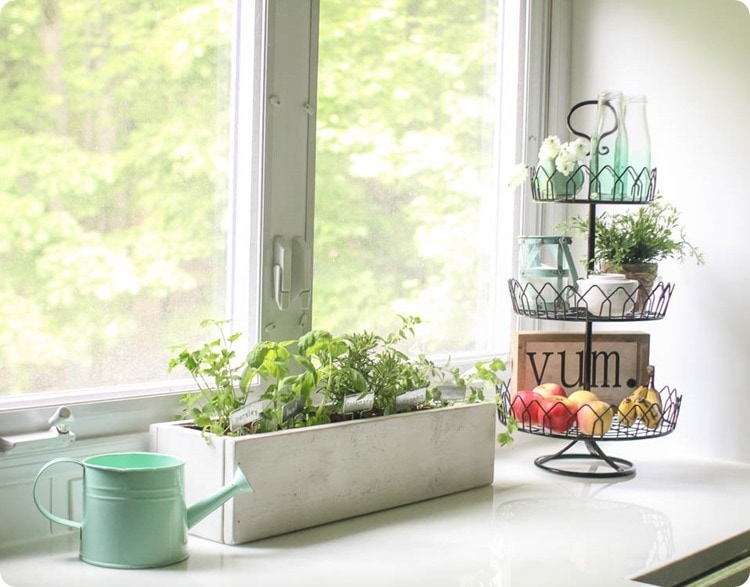 kitchen herb garden and tiered tray