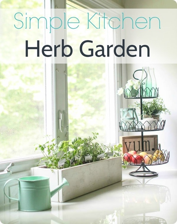 simple kitchen herb garden 3