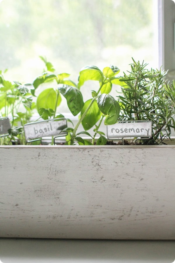 simple kitchen herb garden