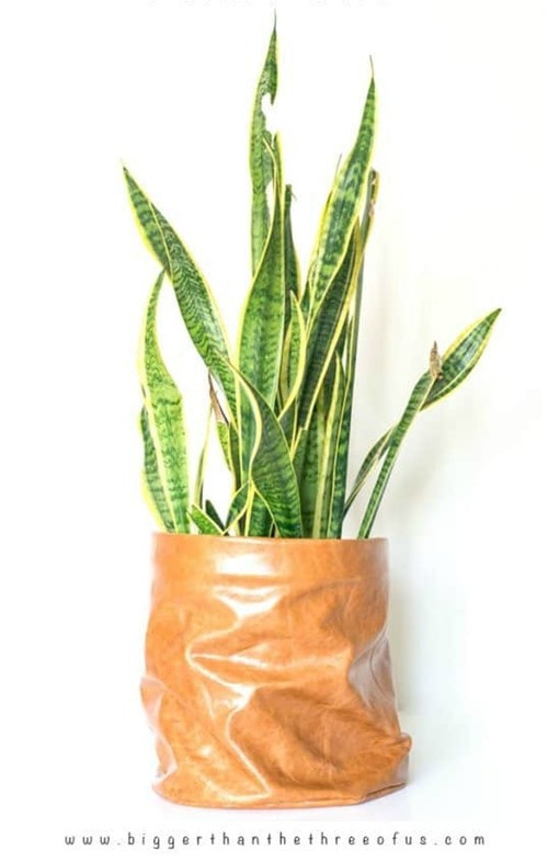 diy plant bag.