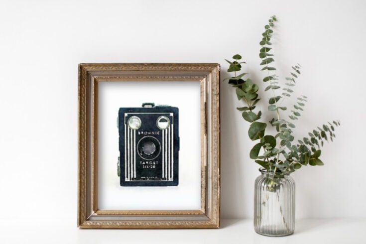 Free Printable Art: Watercolor Vintage Cameras