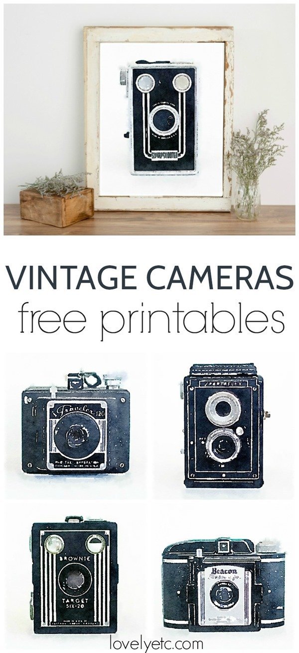 I have some gorgeous free printables to share. These are watercolor vintage camera art prints and they're awesome. There are five different cameras and they are all ready to print and frame.