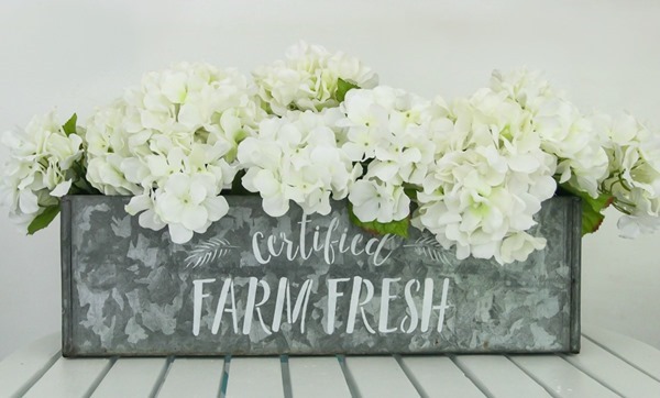 Galvanized metal box stenciled with certified farm fresh stencil.