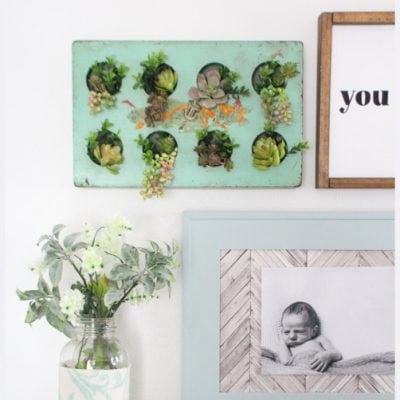 Easy Succulent Wall Decor from a Thrifted Tray