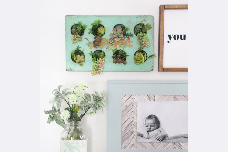 Easy Succulent Wall Decor from a Thrifted Tray