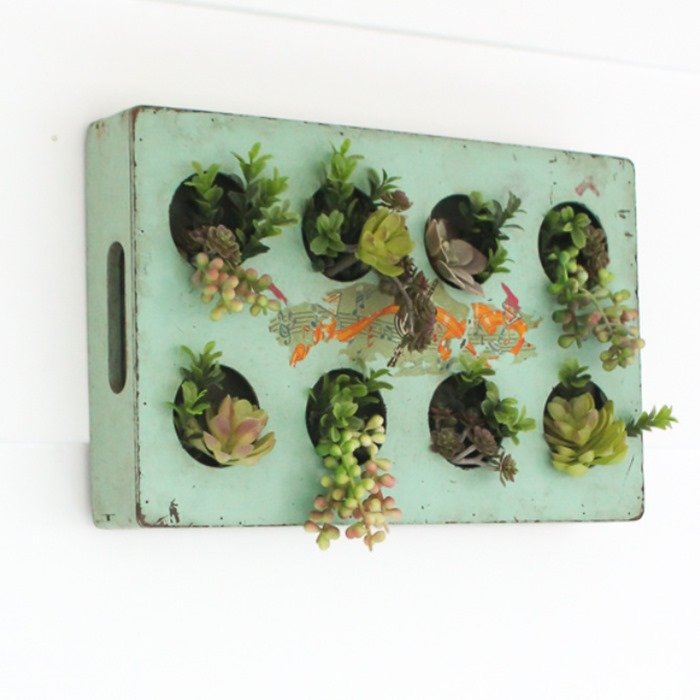 upcycled succulent wall garden