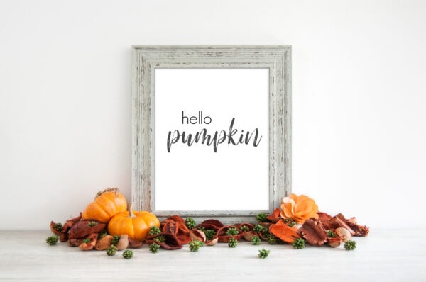 20 Pretty Free Fall Wall Art Printables- A fun and frugal way to update your home's décor for fall is with free printables! This set even includes Thanksgiving and Halloween free printables, too! | #fall #Halloween #Thanksgiving #freePrintables #ACultivatedNest