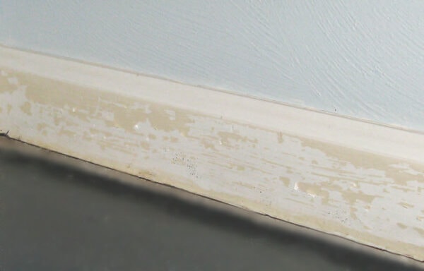 latex paint peeling off oil paint on trim