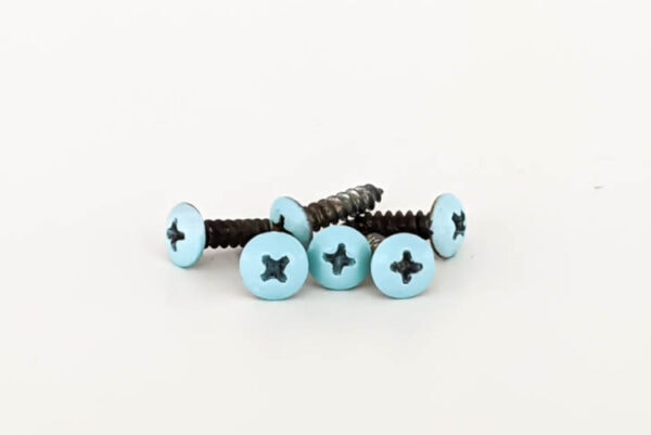 Quick Tip: The Easiest Way to Paint Screws