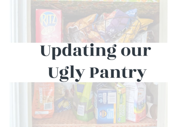 Updating our Ugly Pantry: The Before and Plans