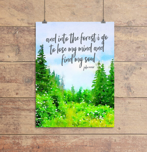 free printable art with john muir quote - and into the forest I go to lost my mind and find my soul