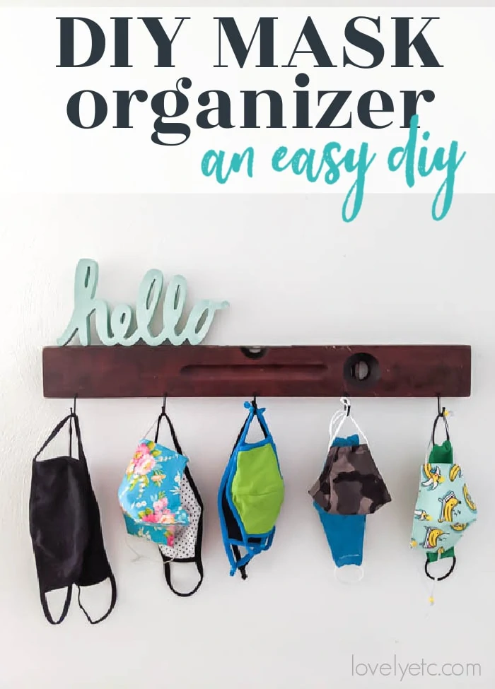 diy face mask organizer wall hooks