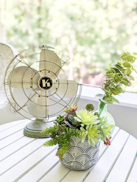vintage cast iron fan and bowl of succulents