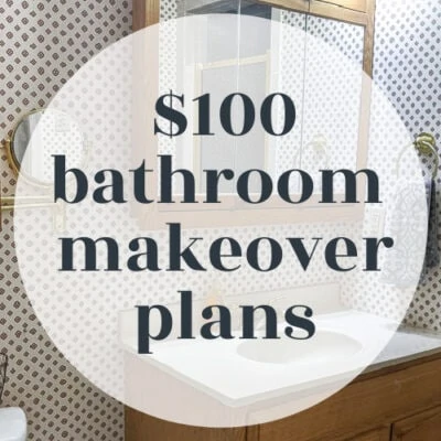 Plans for An Ambitious $100 Bathroom Makeover