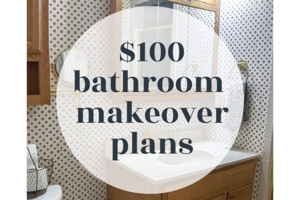 Plans for An Ambitious $100 Bathroom Makeover