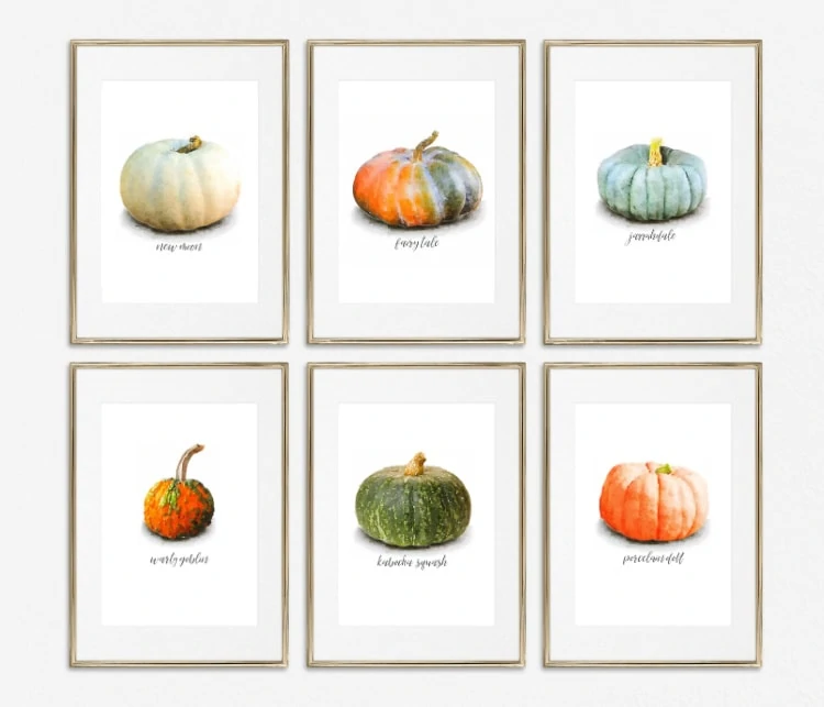 gallery wall of six different watercolor pumpkin prints including orange, green, white, and blue pumpkins.