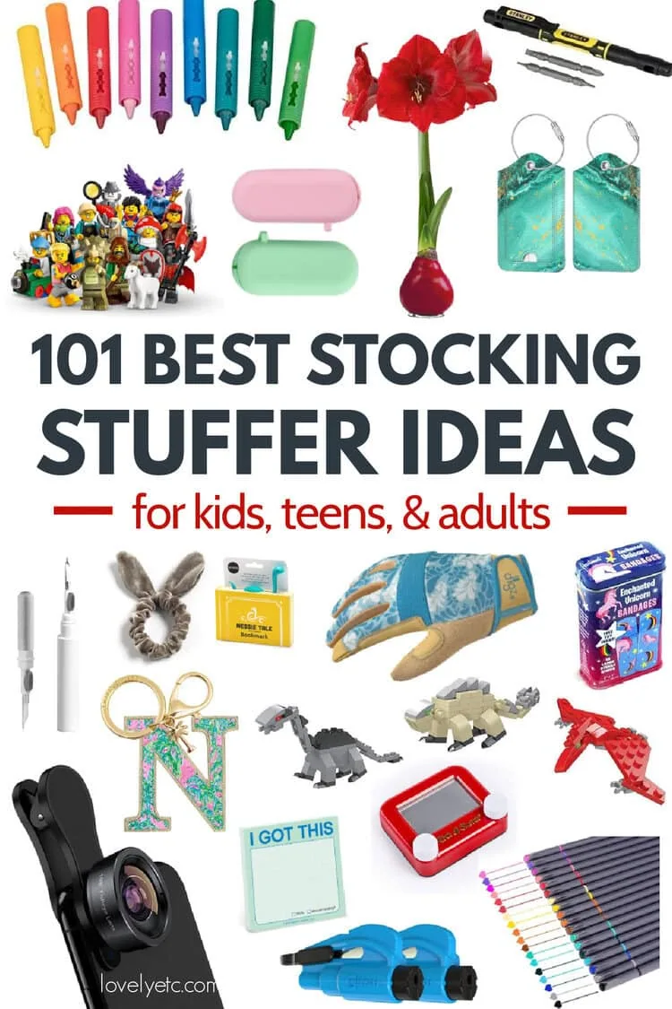 101 of the Best Stocking Stuffers for the Whole Family in 2025, image size:750x1125