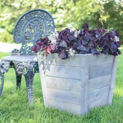 How to Make a Gorgeous DIY  Planter Box for Cheap