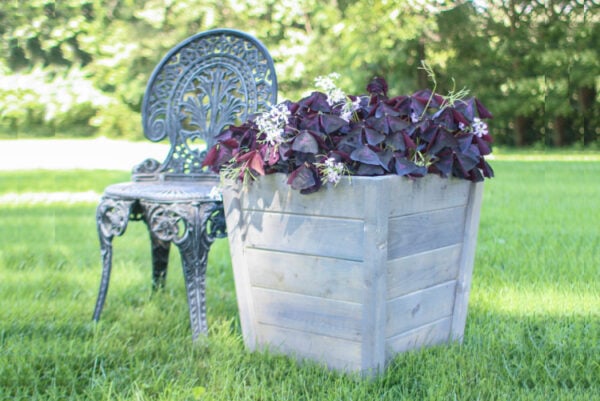 How to Make a Gorgeous DIY  Planter Box for Cheap