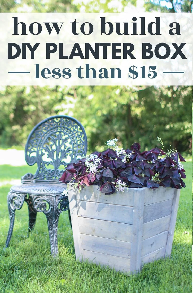 diy wooden planter box with purple shamrock next to a garden chair.