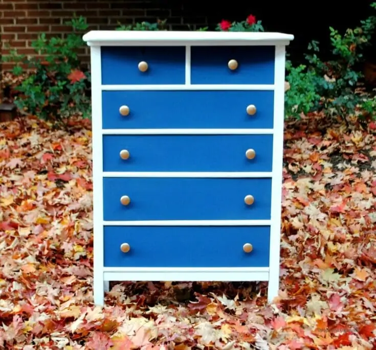 safari painted dresser