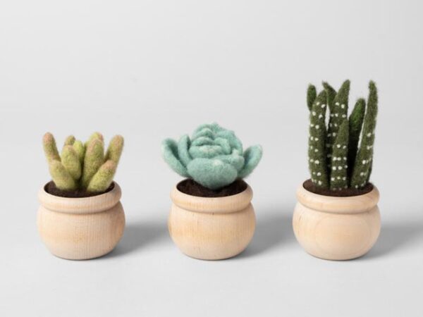 three small needle-felted succulents in wooden pots.
