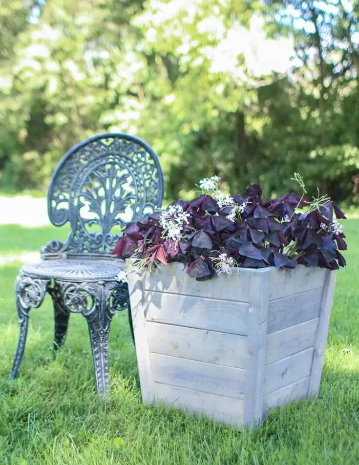 33 Unique DIY Planter Ideas For Your Backyard - The DIY Nuts